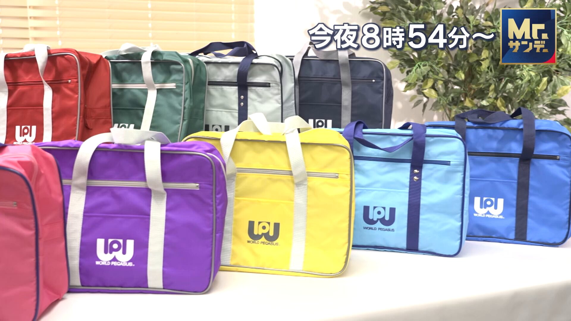 楽天市場】ワールドぺガサス ワッペ スクールバッグ ナイロン