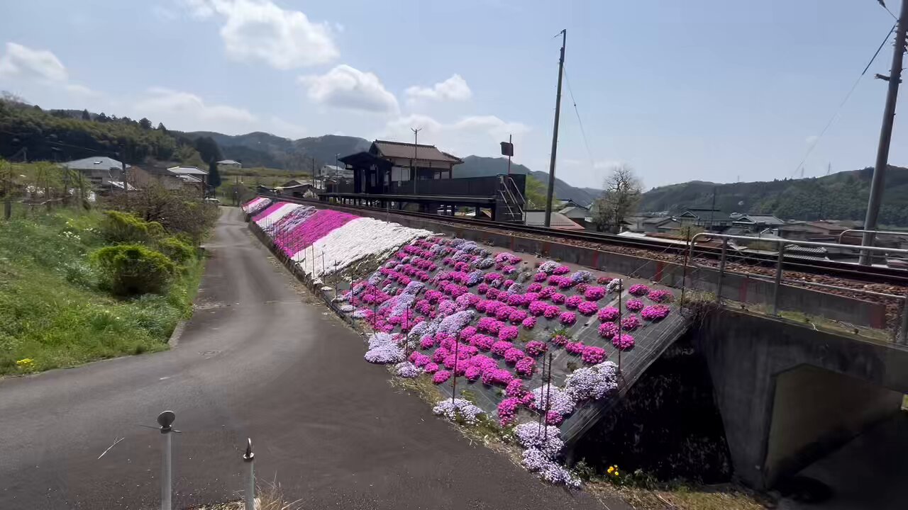 宮本武蔵３副揃 宮本武蔵3副揃