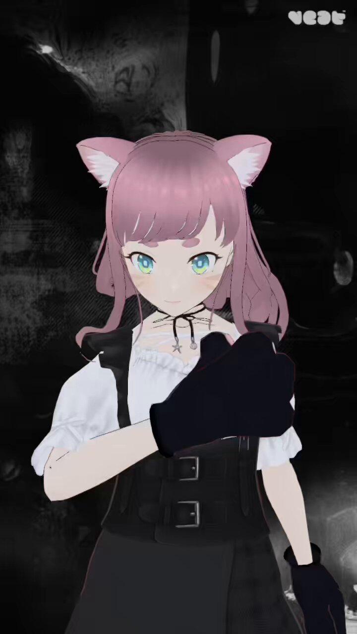 はうき | 猫さん拾って、 | Instagram