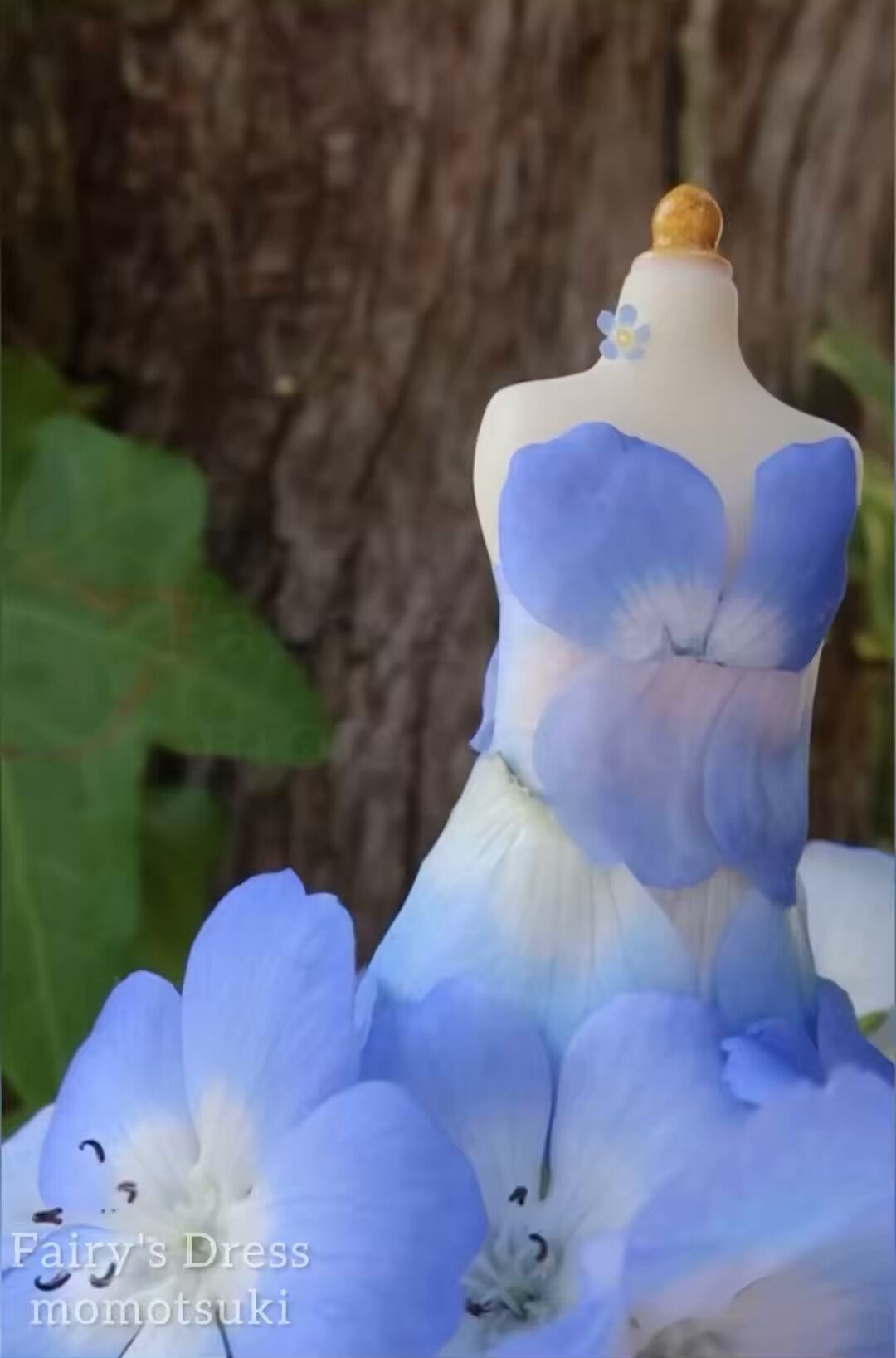Fairy's Dress (@Fairys_Dress) / X