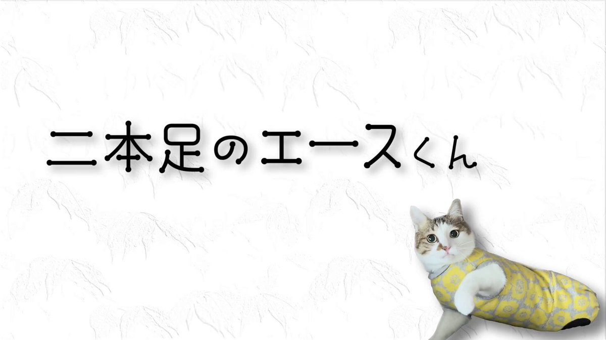 猫むすび GpXNBIVbYAIaQEk.jpg