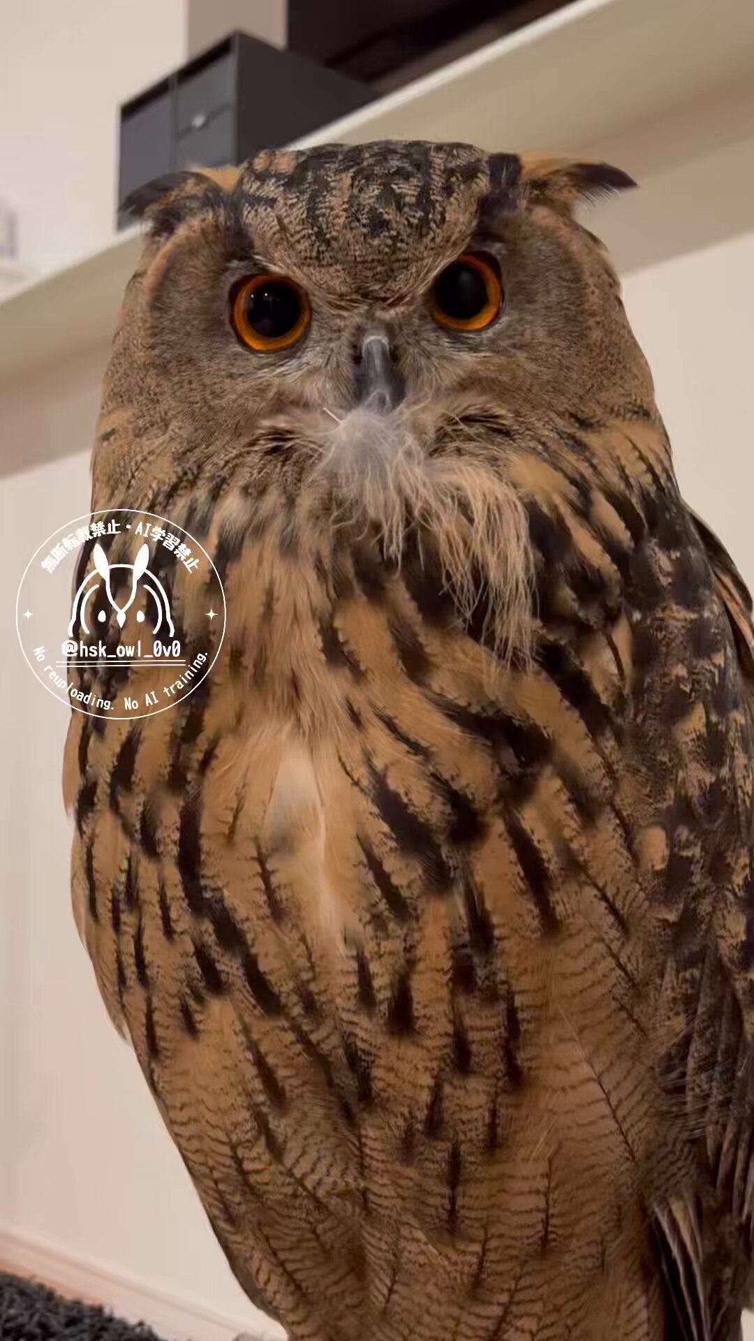 ☆くみくみさん様専用☆オルゴナイト☆フクロウ☆