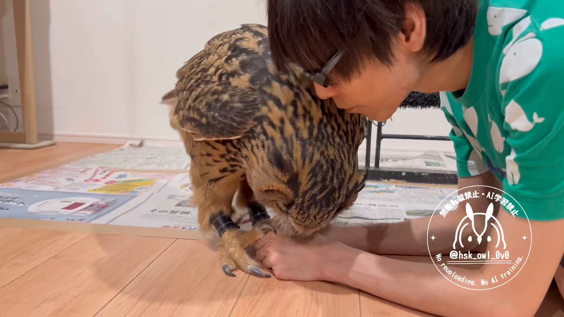 momozuku (@hsk_owl_0v0) / X