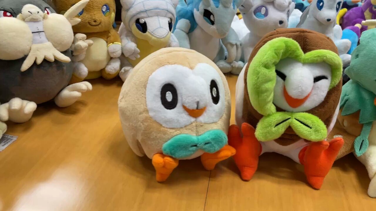 ポケモンだいすきクラブ編集部【公式】 on X: 