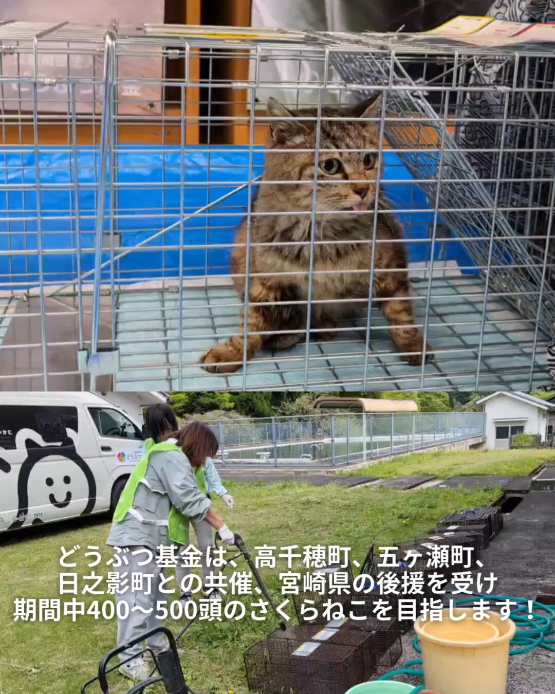 ⛩タケミカヅチを守護神に持つ方の素質です⛩ | 八百万の神開運