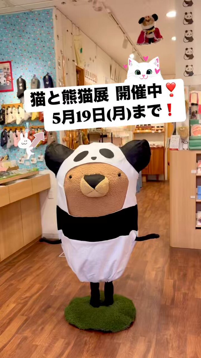 本日限定☆希望価格【希少品】jamhomemadeピン 楽天市場】アゾン えっくす☆きゅーと Chiika（ちいか）／ Sweet