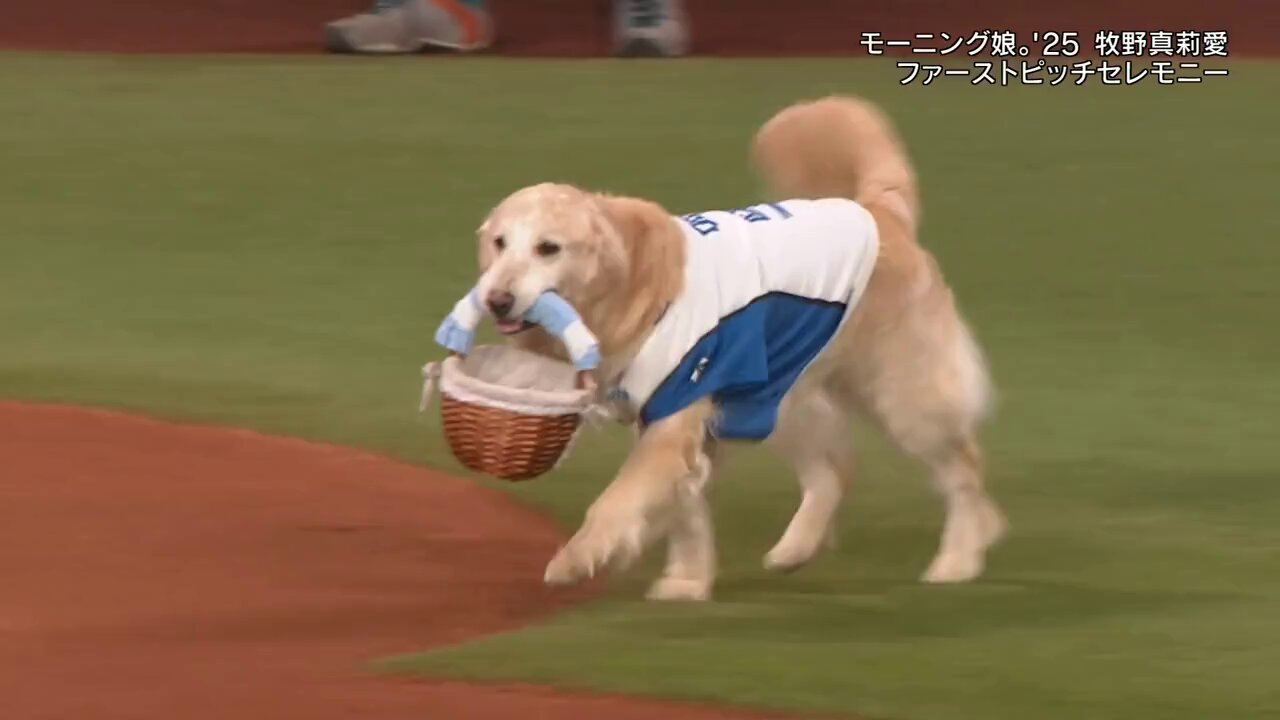 牧野真莉愛　ファースト 