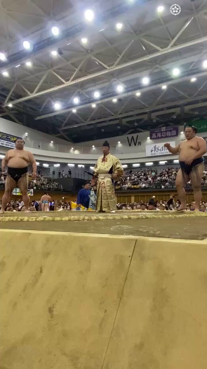 相撲/武道 hasunohana Bra Sumo Wrestlers] A must-see for sumo fans!! Discovered in