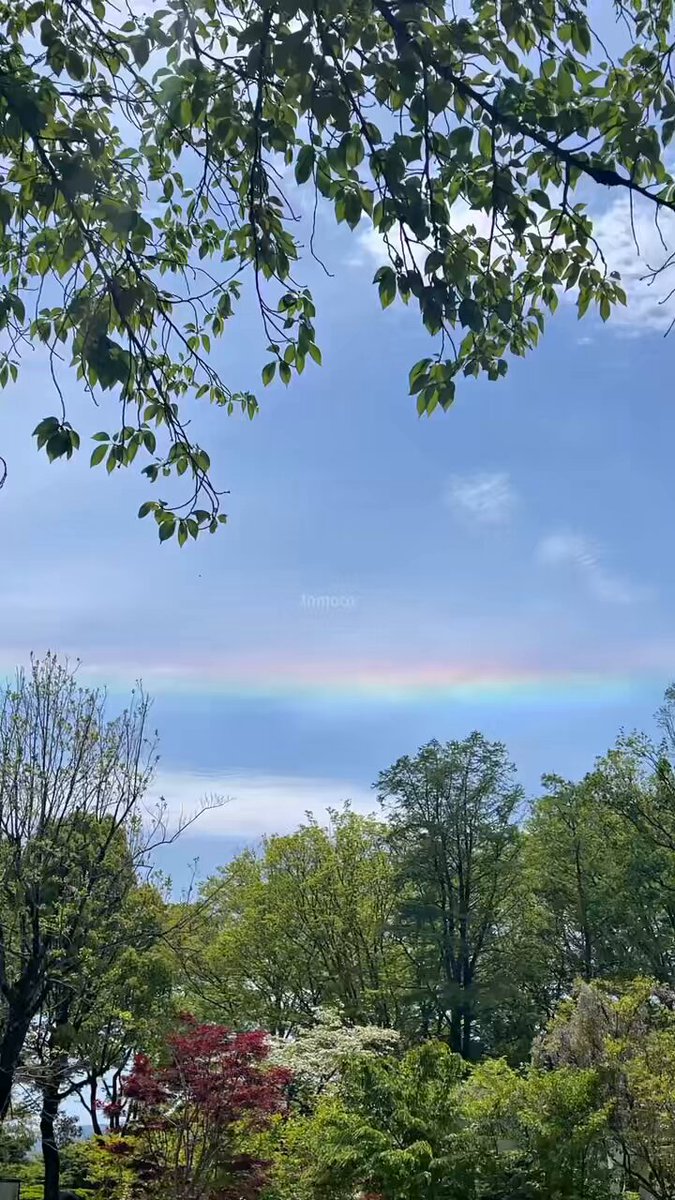 MOKOKO鑑識ページ shycoco (@shycoco_mTAyQ) / Posts / X