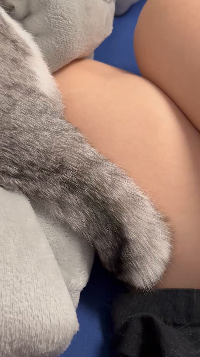 ご機嫌ちゃんなんだね〜