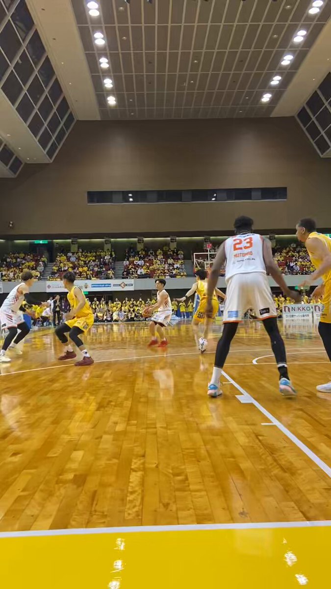 川村卓也 リバーシブルタンクトップ 新潟アルビレックスBB 川村卓也 リバーシブルタンクトップ 新潟アルビレックスBB ウェア