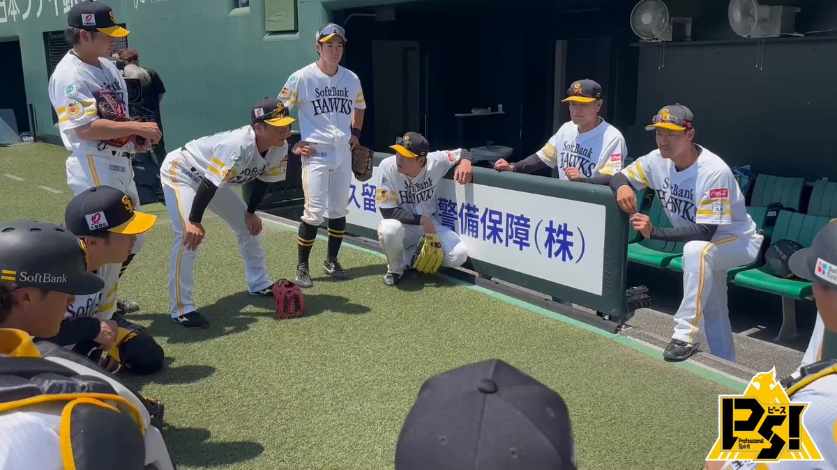 lycee　エスト　豚　4枚セット　大会上位賞 ゼクシオ 13 アイアン レフトハンドモデル N.S.PRO 850GH DST