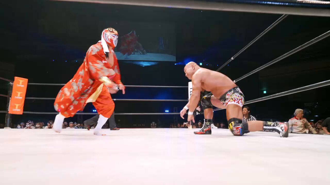 HAO プロレス ソフビ ハヤブサ HAO プロレス 不死鳥 ハヤブサ(赤) ソフビフィギュア - メルカリ