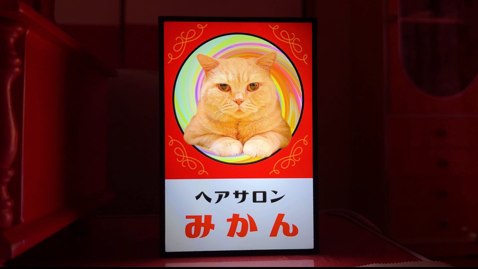 猫は液体 on X: 猫は液体 on X: