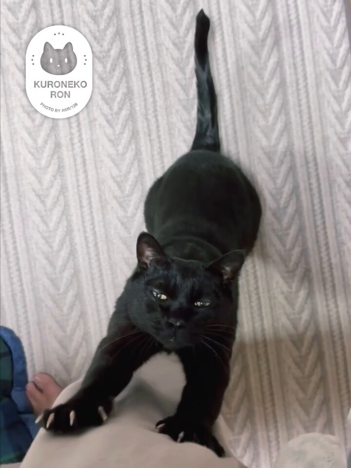 AKR｜7巻でたよ on X