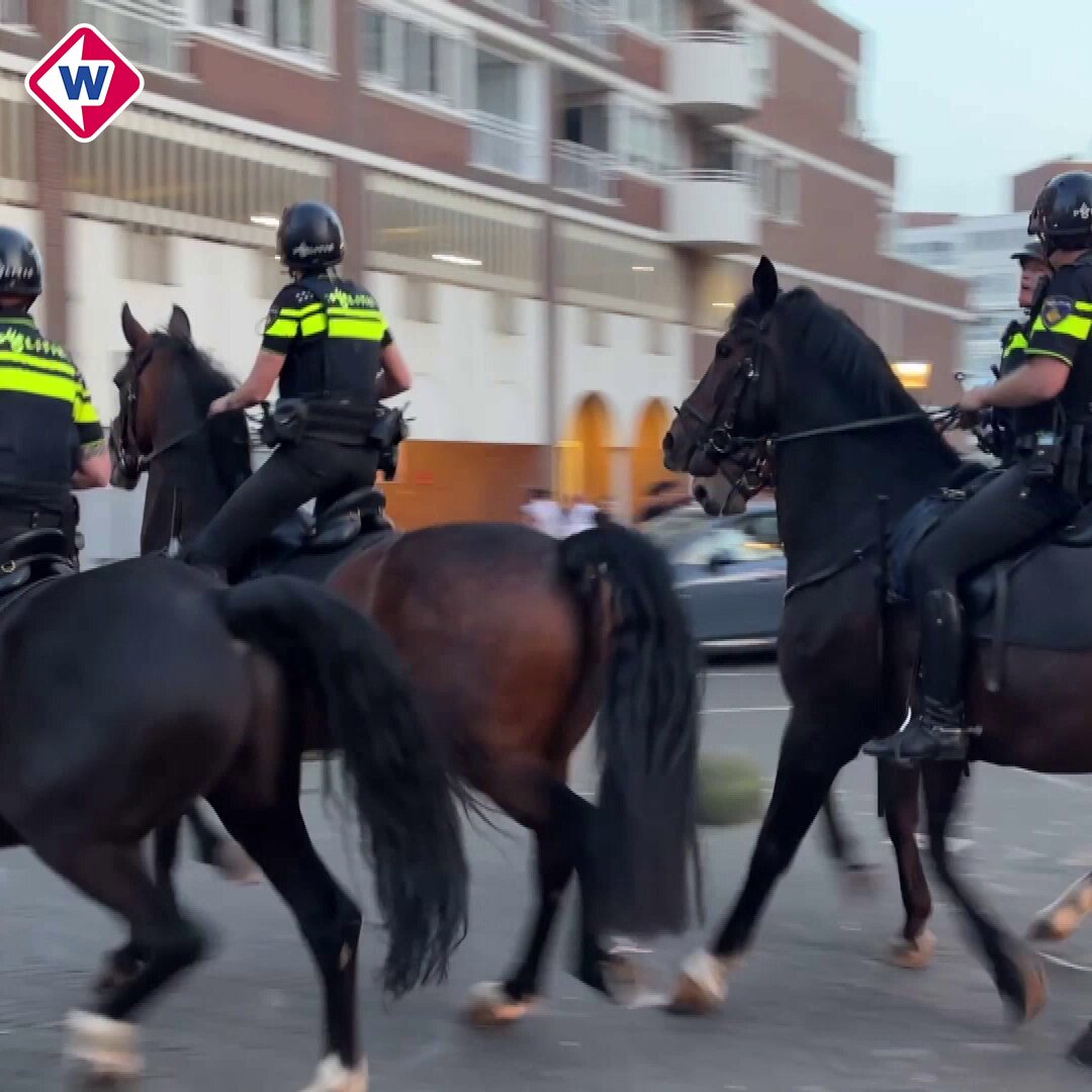 Rellen op Scheveningen