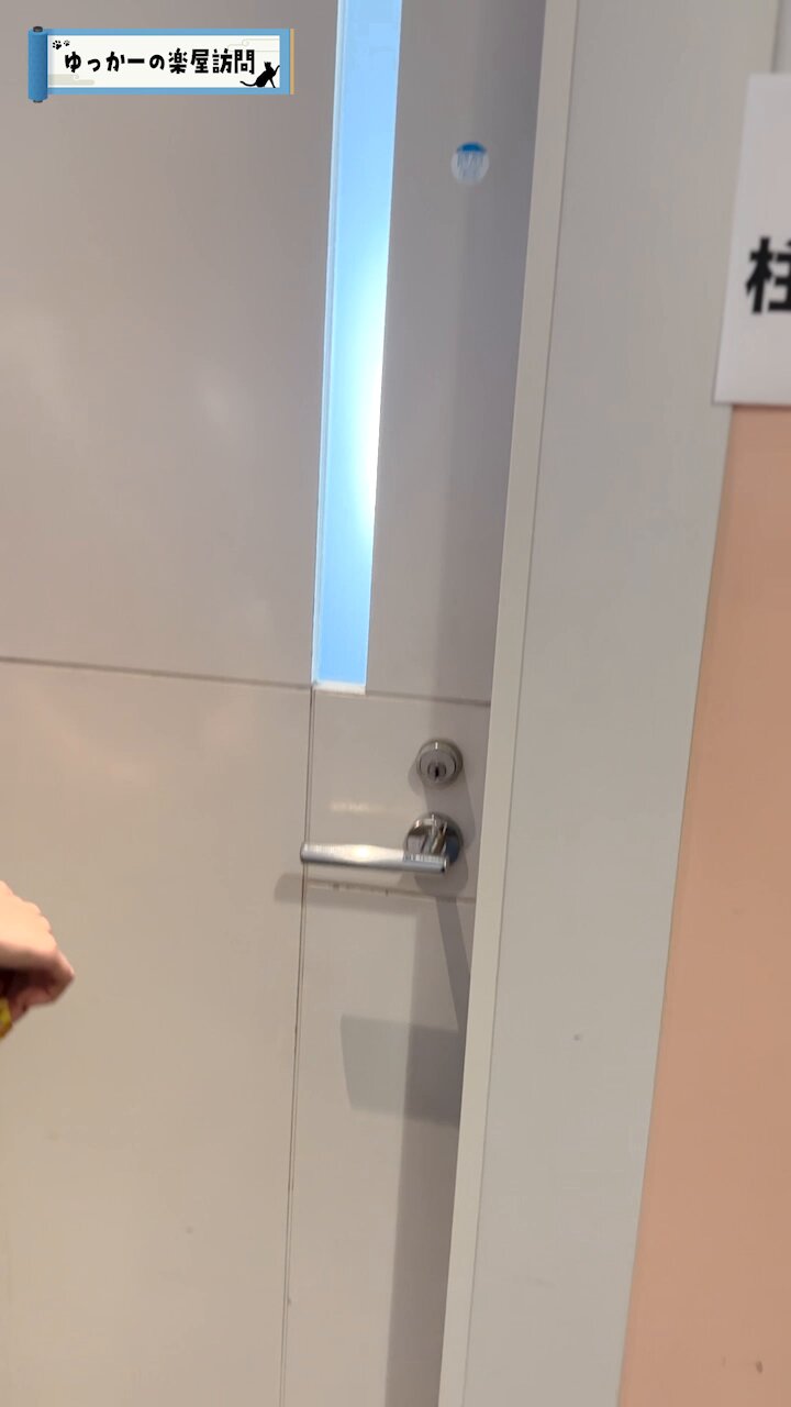 ワールドカップフランス大会記念　今日開運なんでも鑑定団に写真等を郵送しました。 開運！なんでも鑑定団 on X: 