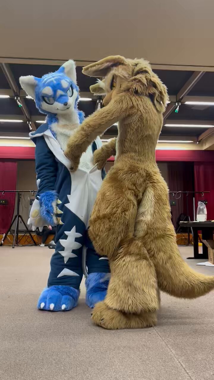 日本全国送料無料商品 特集 はるる (@furry_866) / X ウィッグ・エクステ