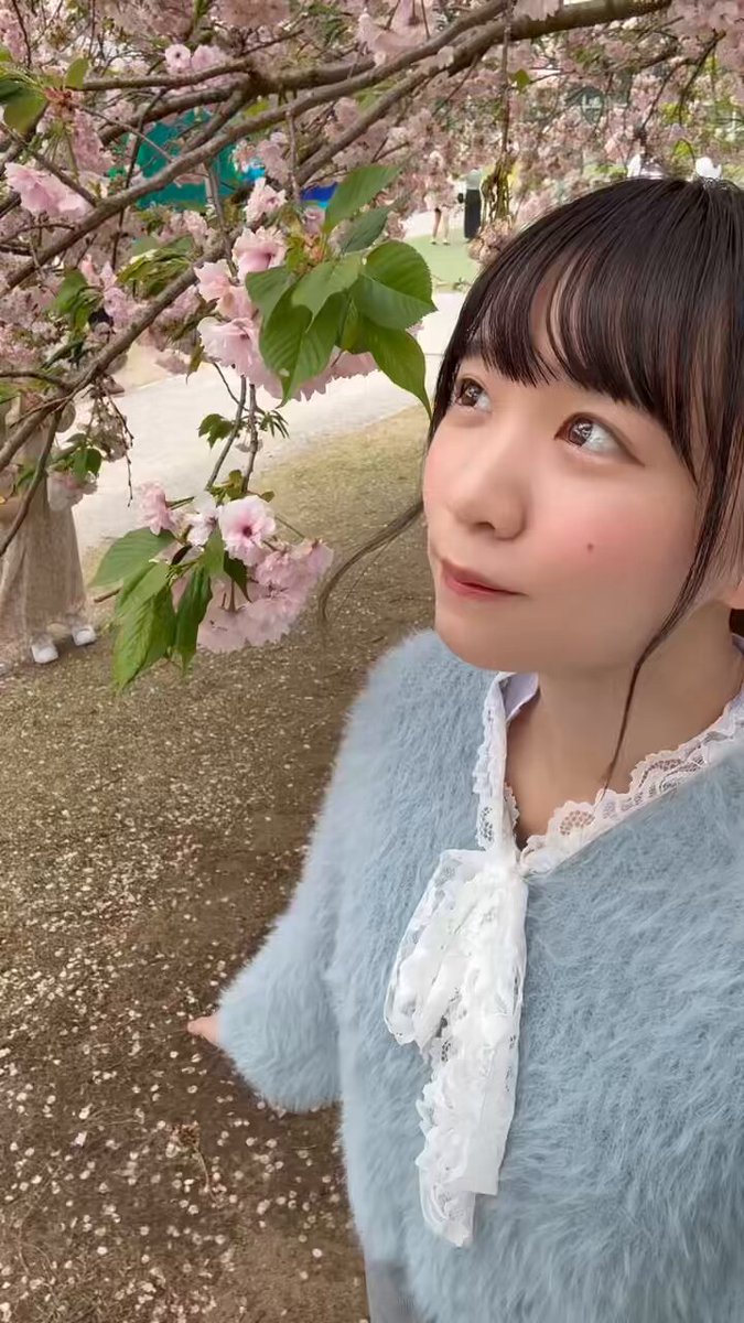 いまどうしてる?