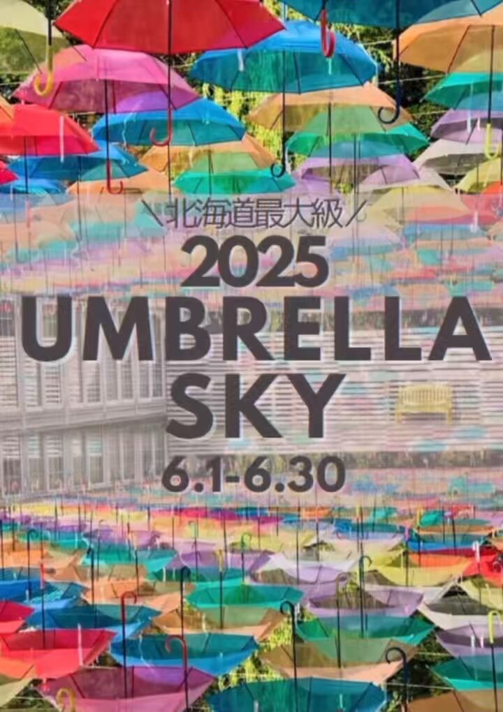 hazama 見えないものを見ようとして見上げた夜空のアンブレラ 見えないものを見ようとして見上げた夜空のアンブレラhazama 傘
