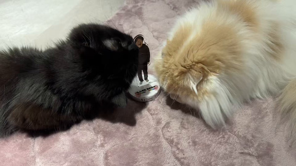 喰われるレンタルぶさいく
#バキ童オンリー