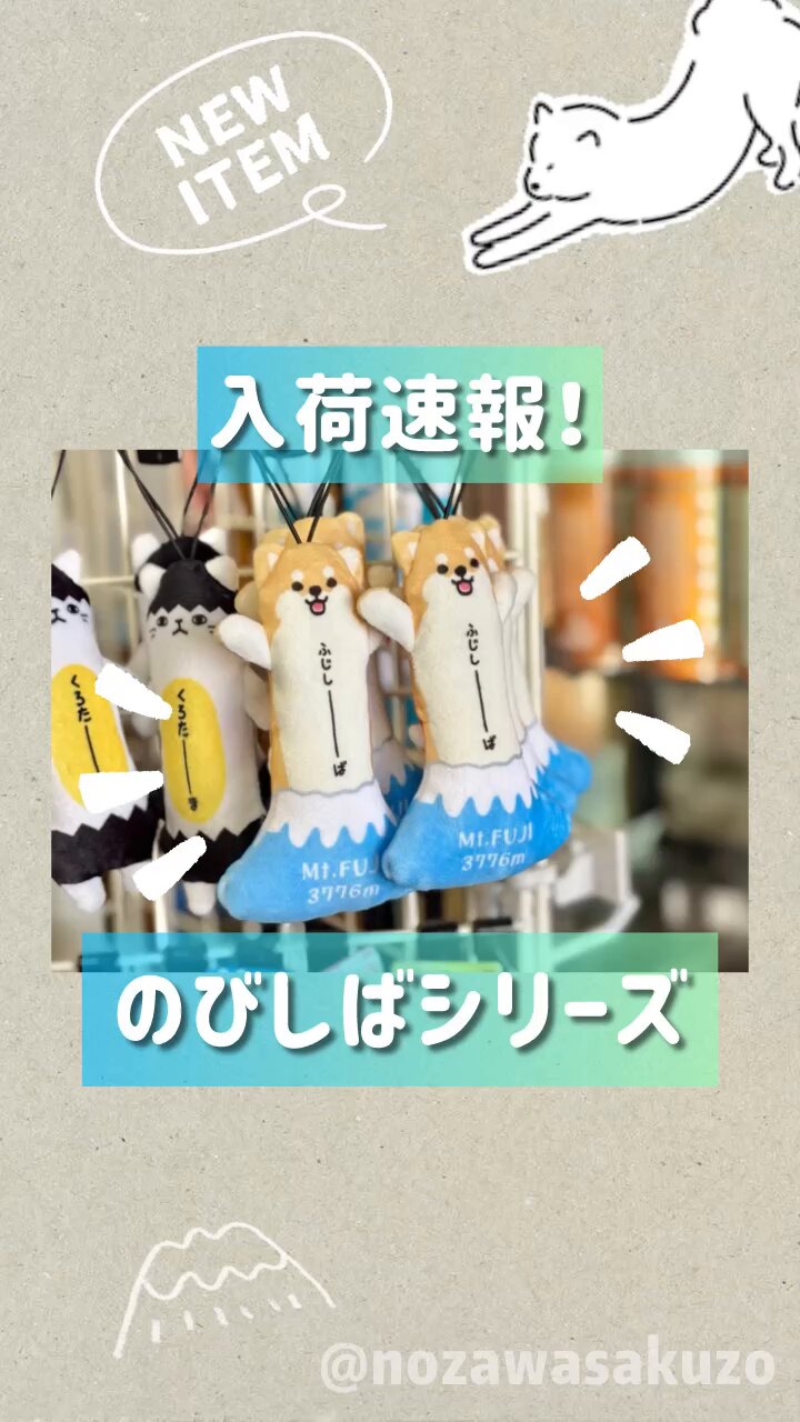 ⭐︎海ちゃんページ⭐︎のびしば5 ⭐︎海ちゃん様専用ページ⭐︎のびしば5種