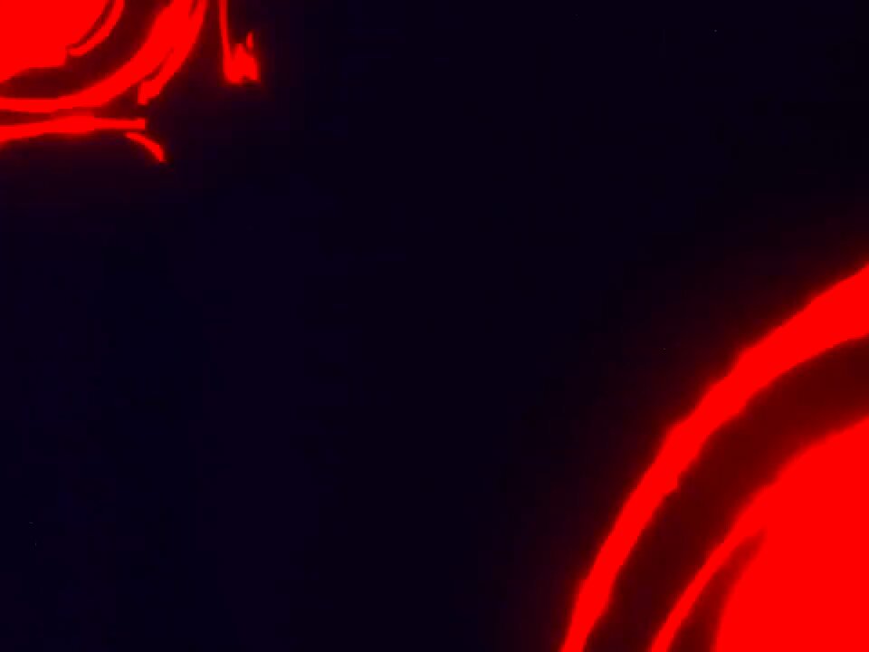 Video oleh @anime8cm