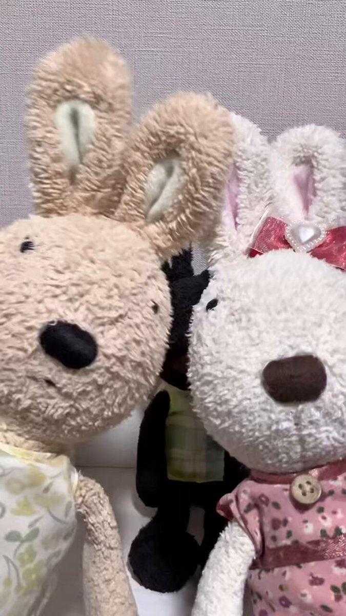 ルシュクル　くまのルー特大ぬいぐるみ Amazon.co.jp: (le Sucre ルシュクル)LOU ぬいぐるみ 大 (003 茶