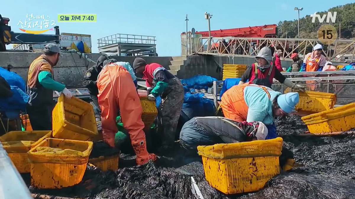 20250511 tvn_joy <언니네 산지직송2> 5화 선공개🎣 막내들이 든든한 힘이 되어드리겠습니다💪 <언니네 산지직송2> [일] 저녁 7:40 tvN #이재욱 #LeeJaeWook...