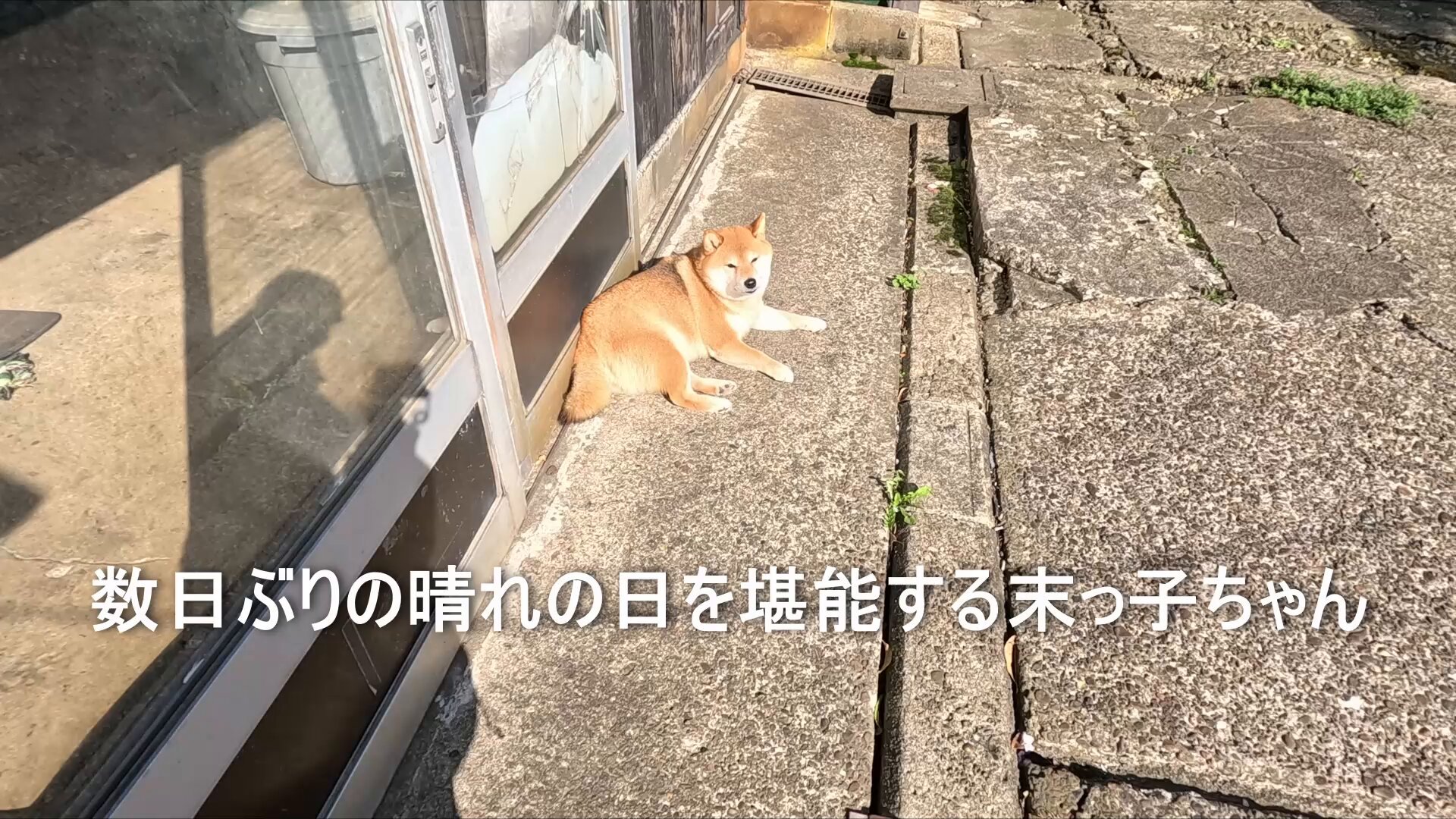 マヨネ on X: 