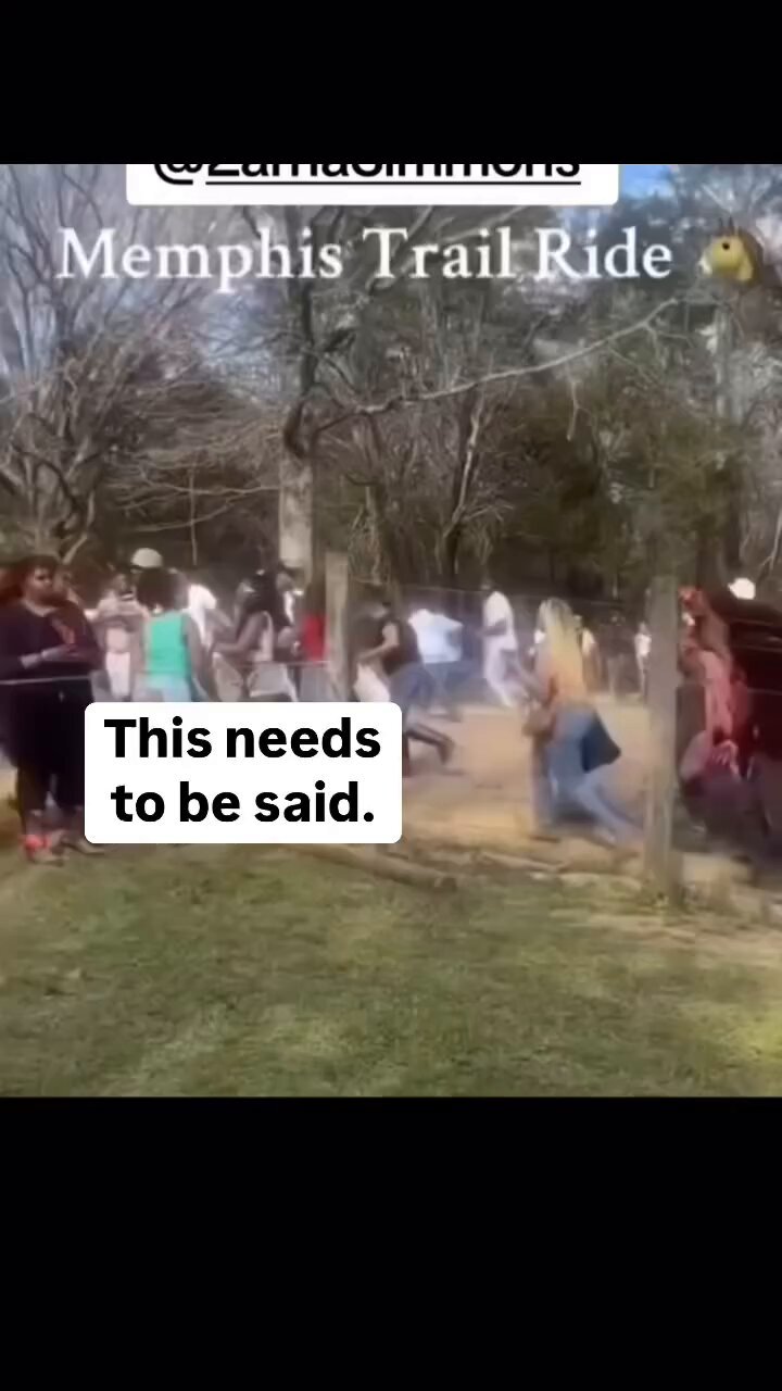 Errol Webber (@ErrolWebber) on X