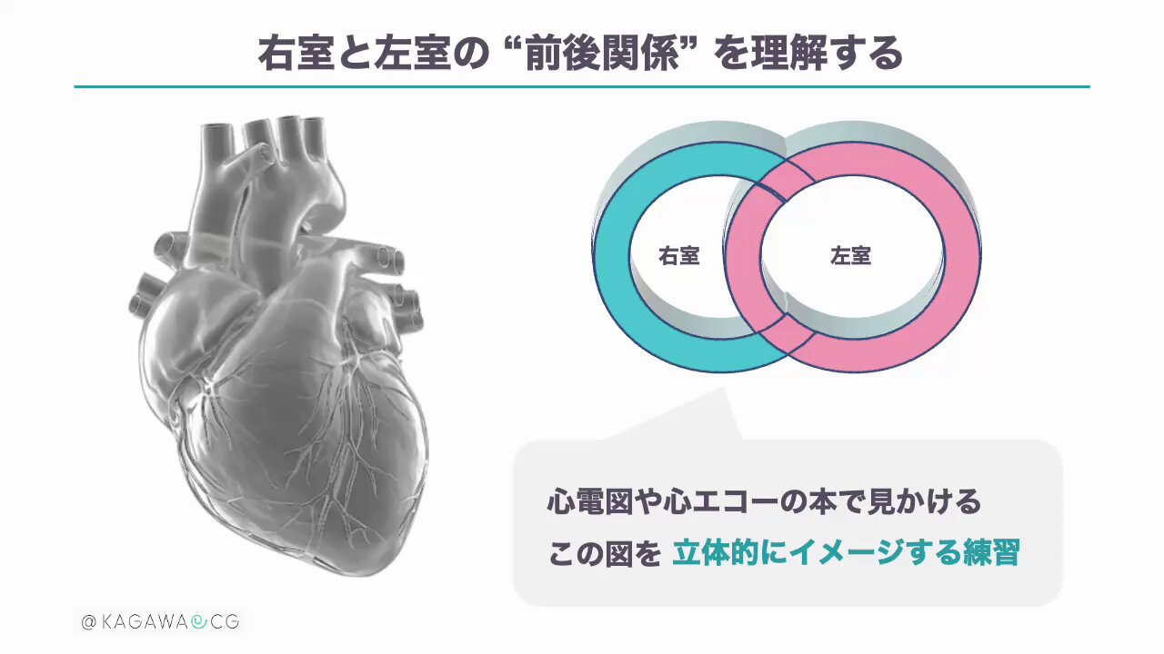 65%OFF【送料無料】 KagawaECG on X:  健康・医学