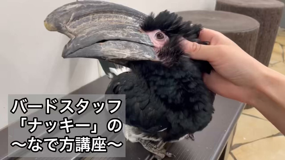 フルーツ大好き - Search / X