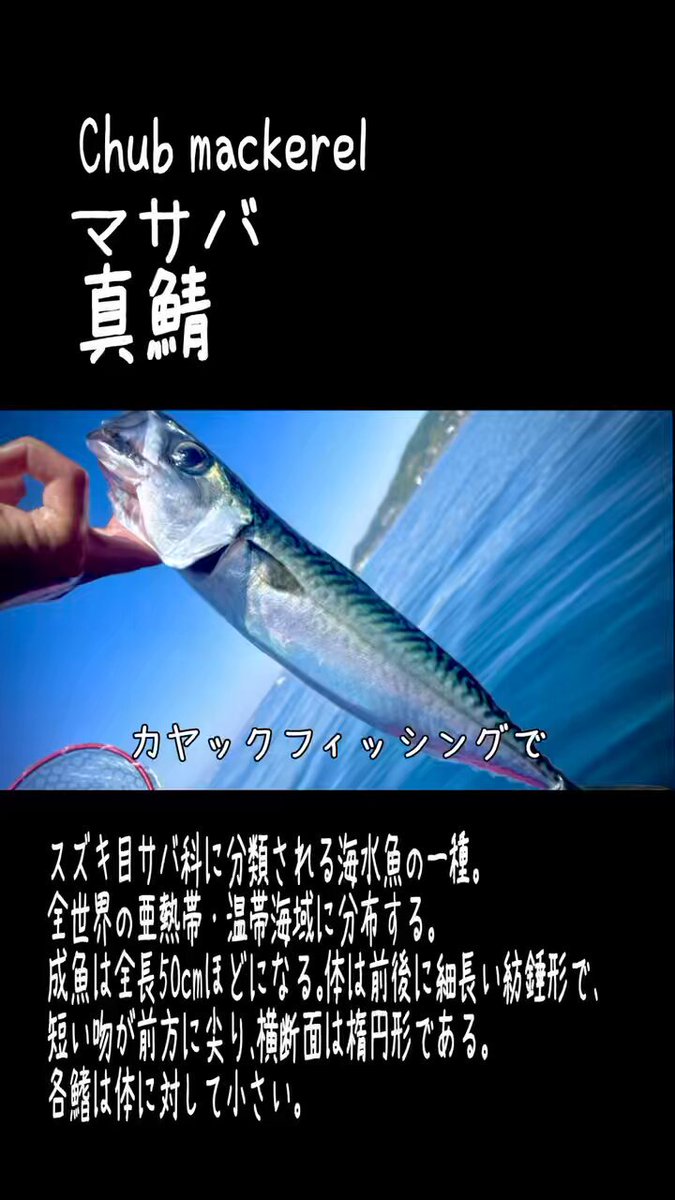 〆さば - Search / X