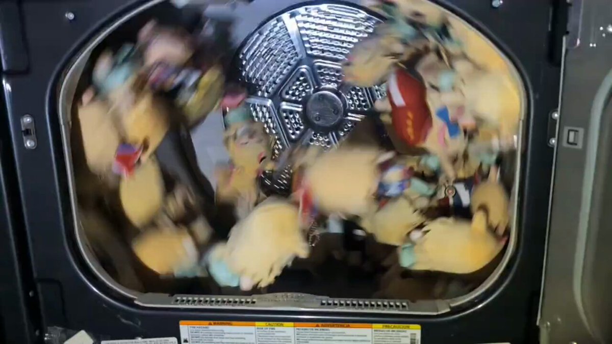 埋め込み画像