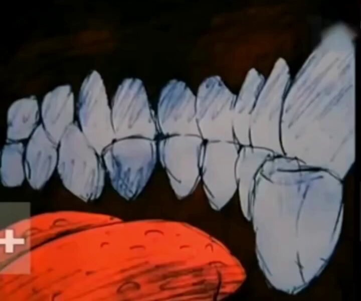 Twitter Image