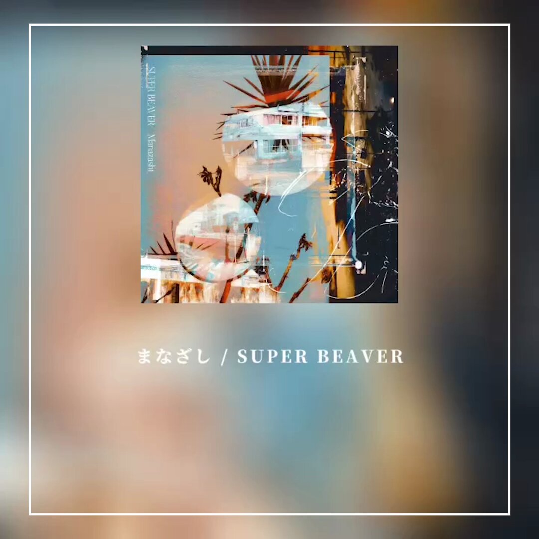 SUPER BEAVER on X: 