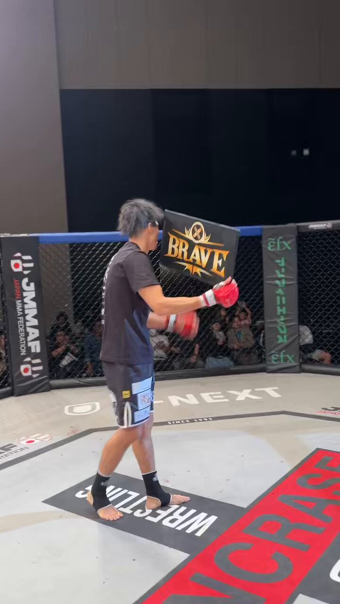 boxerjuntaro boxer juntaro supreme カーミット BOXER JUNTARO (@BOXERjuntaro) / X