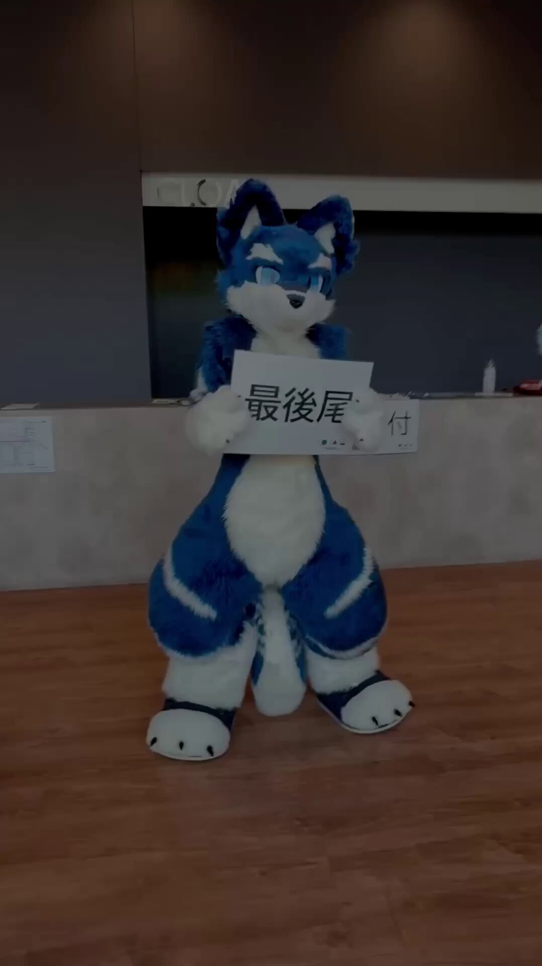 やーさん (@yasan_mofumofu) / X