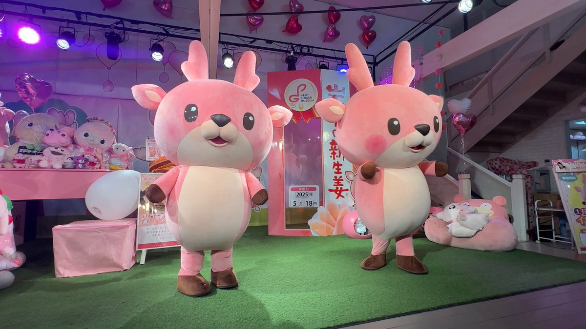 ☆イワシカちゃんが長老シカ(向かって右側‼️)と一緒に、東京事変の