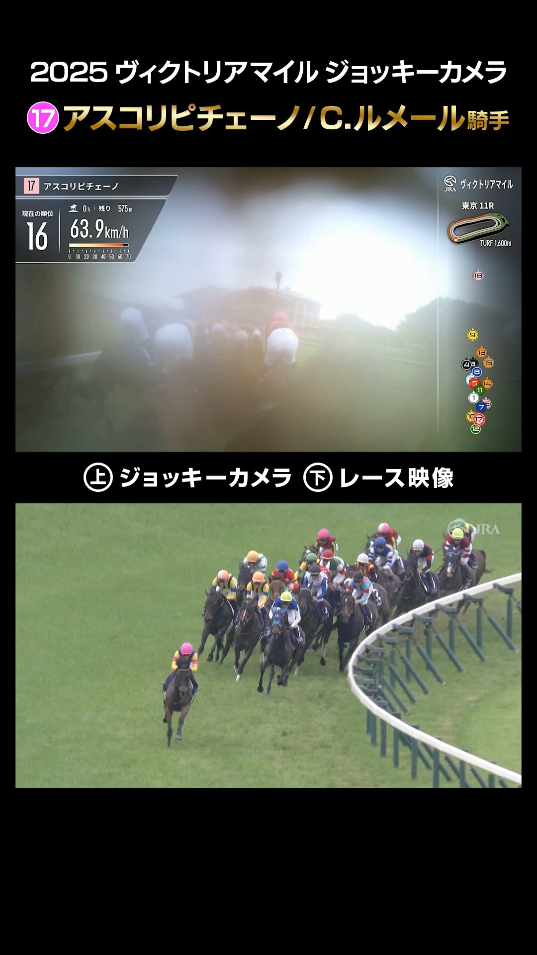 JRA公式 (@JRA_Special) / X