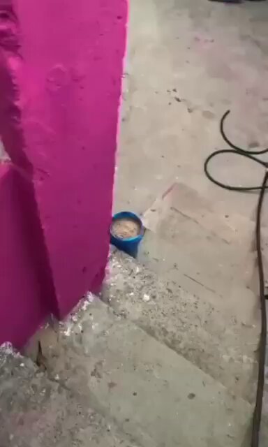ngintipin tetangga colmek eh mlah di ajak ngewe enak banget