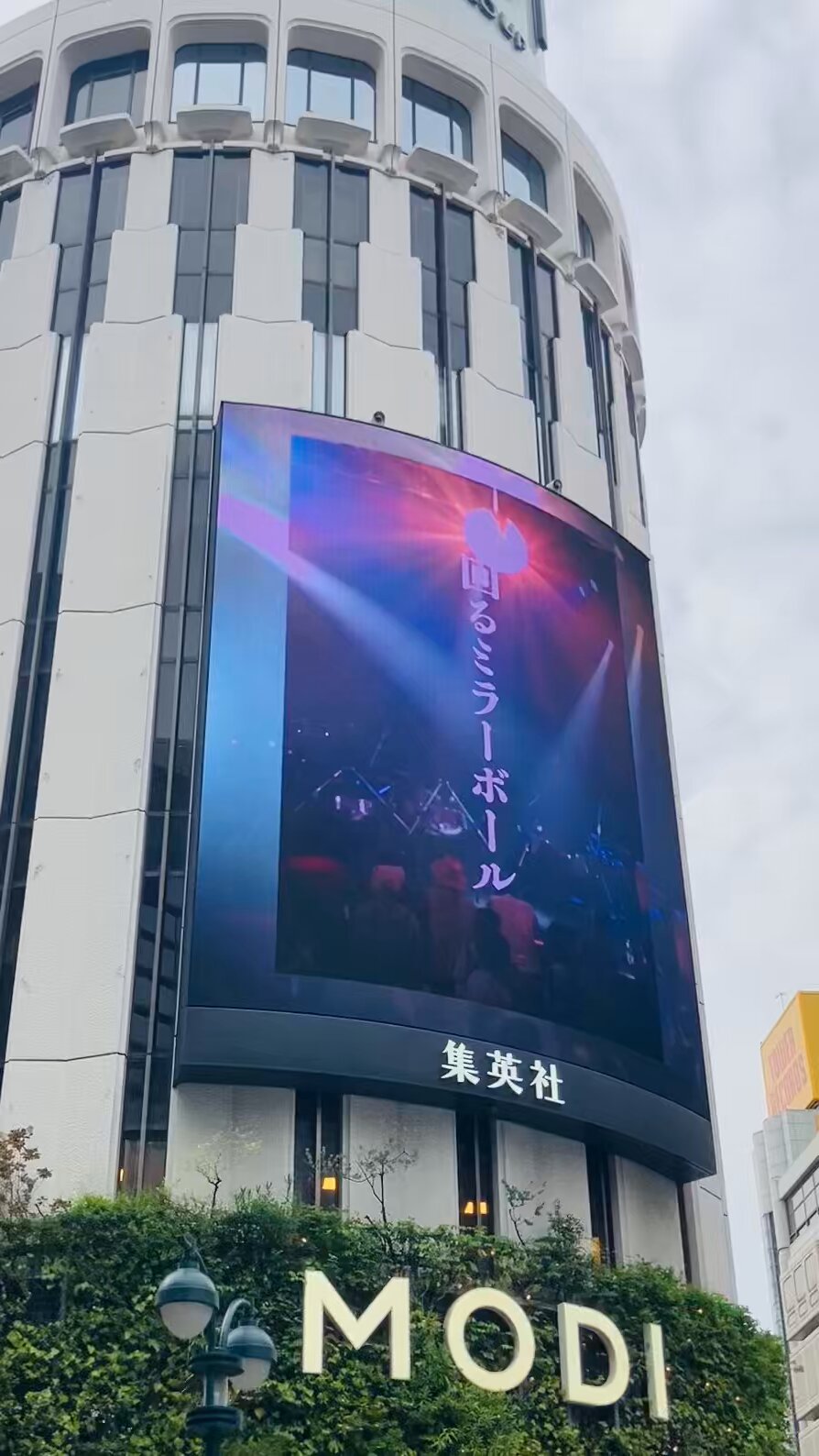 ZORN、昨年12月の渋谷WWW Xワンマンの映像を収めたDVD『おゆうぎ