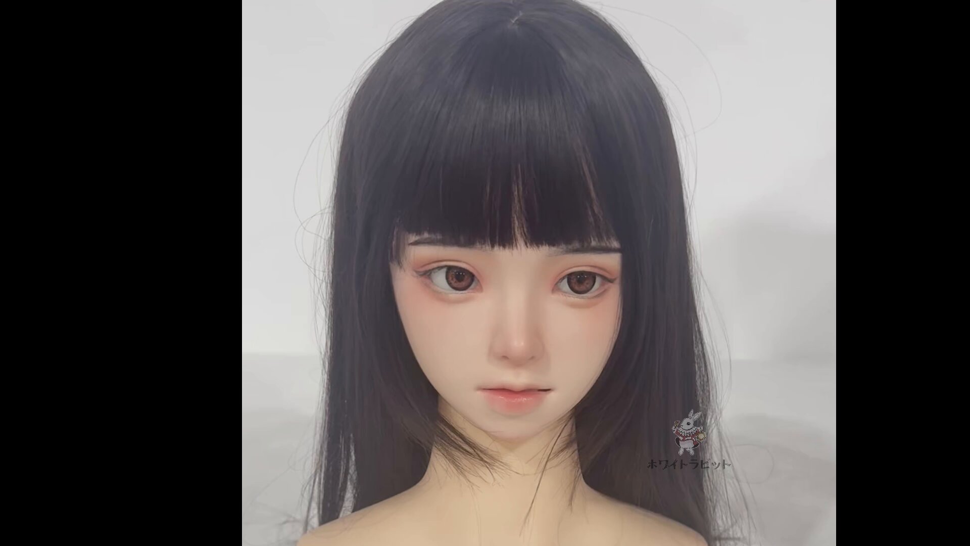 ホワイトラビット (@WRabbitJO) / X