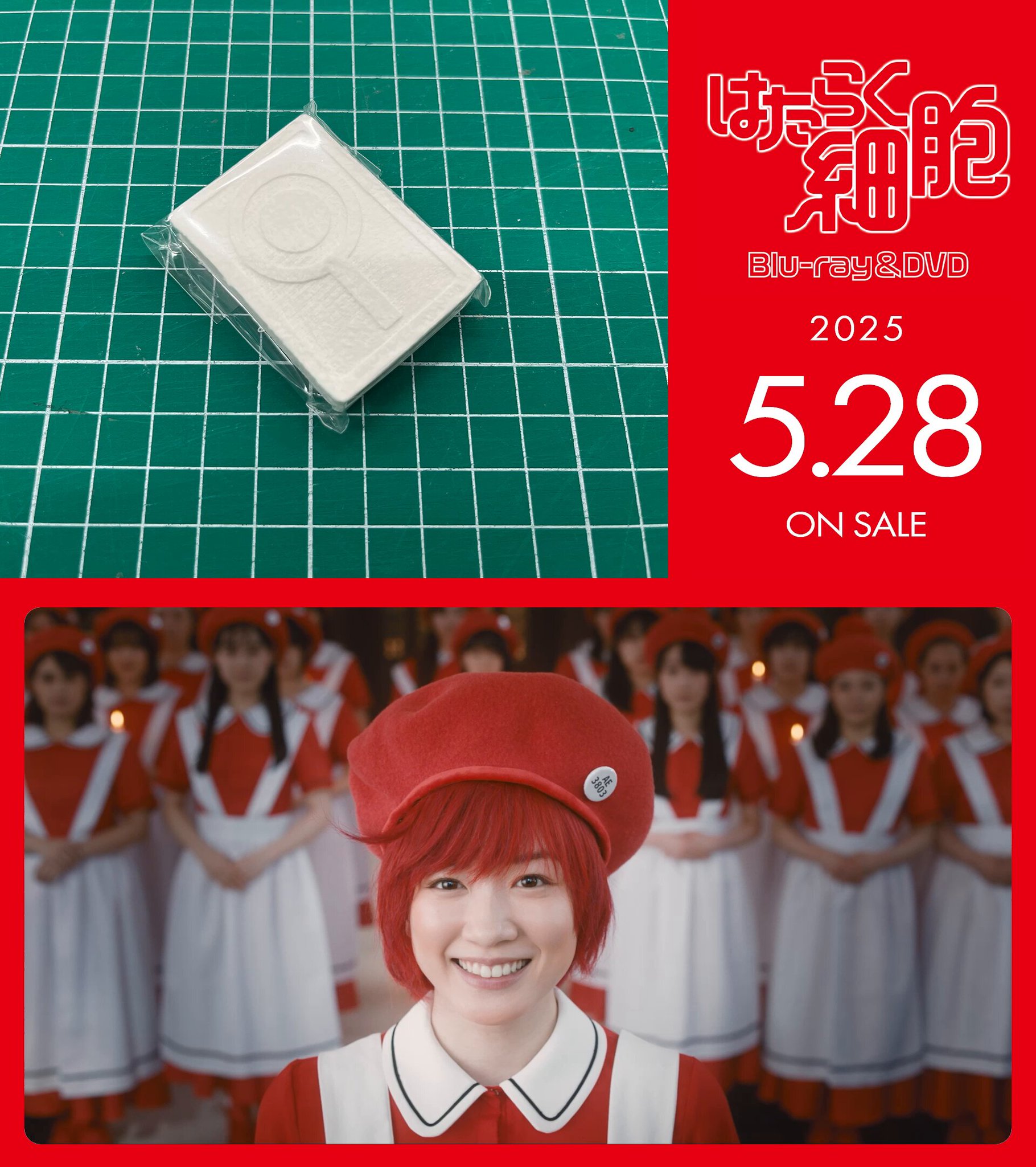 02▢ はたらく細胞 セット NA0419-3 02▢ はたらく細胞 セット NA0419-3 Hataraku Saibou Blu-Ray