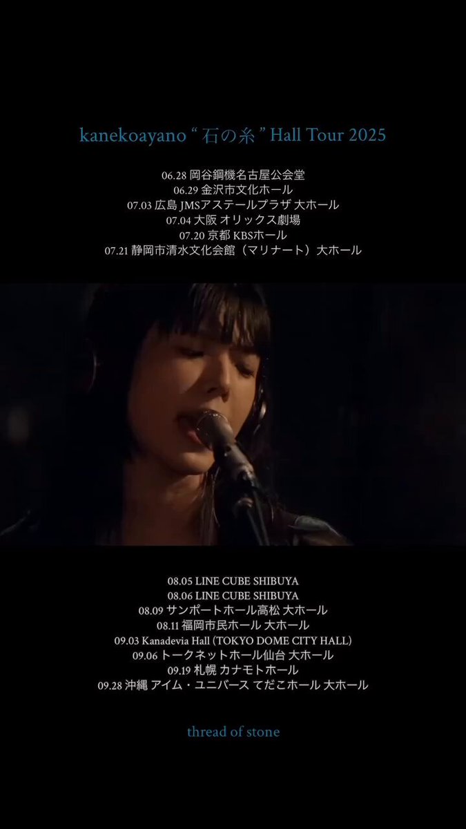 kanekoayano 石の糸 レコード LP 黒ねこキーホルダー