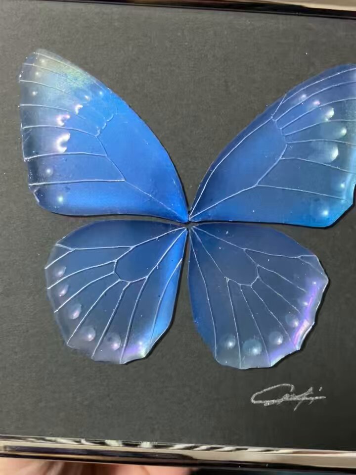 水咲 智明葵🦋樹脂画造形 on X: 