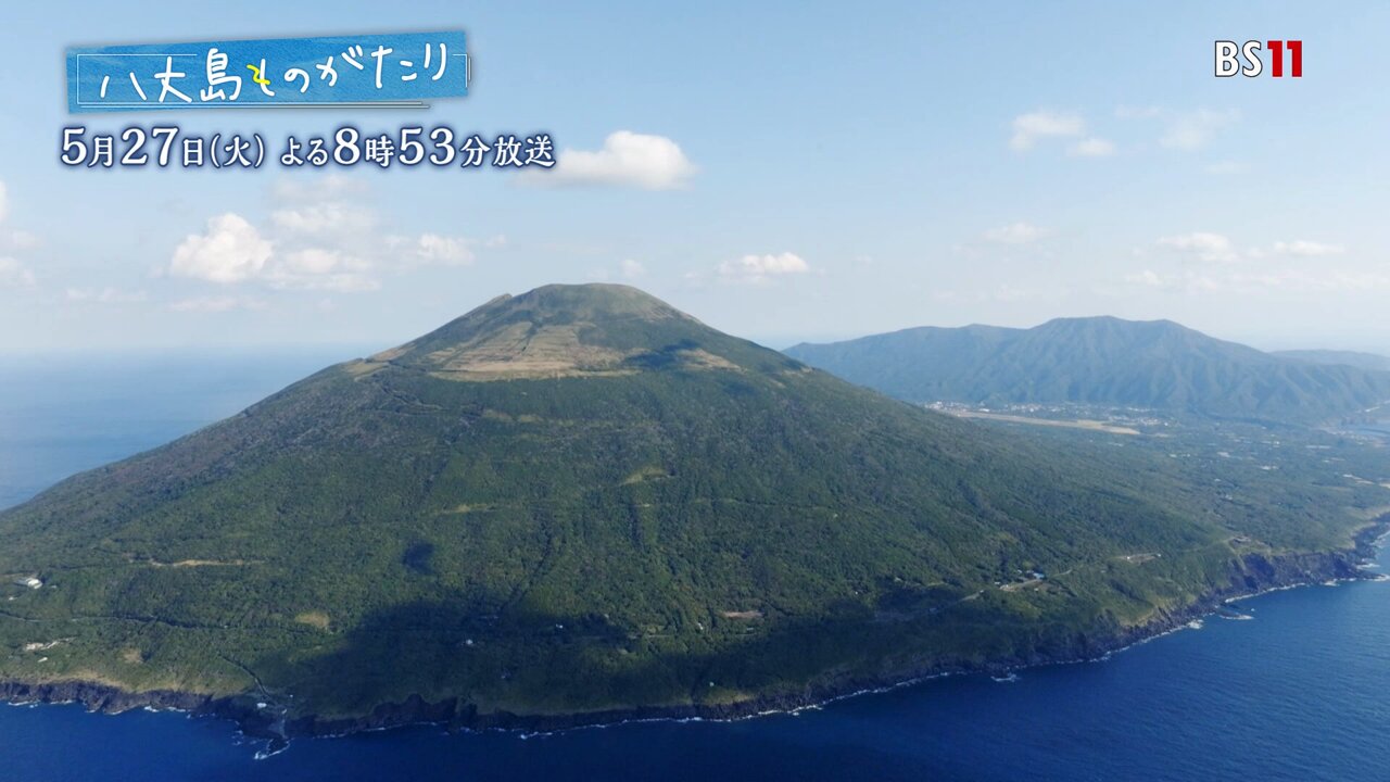 御船印の発行について｜東海汽船