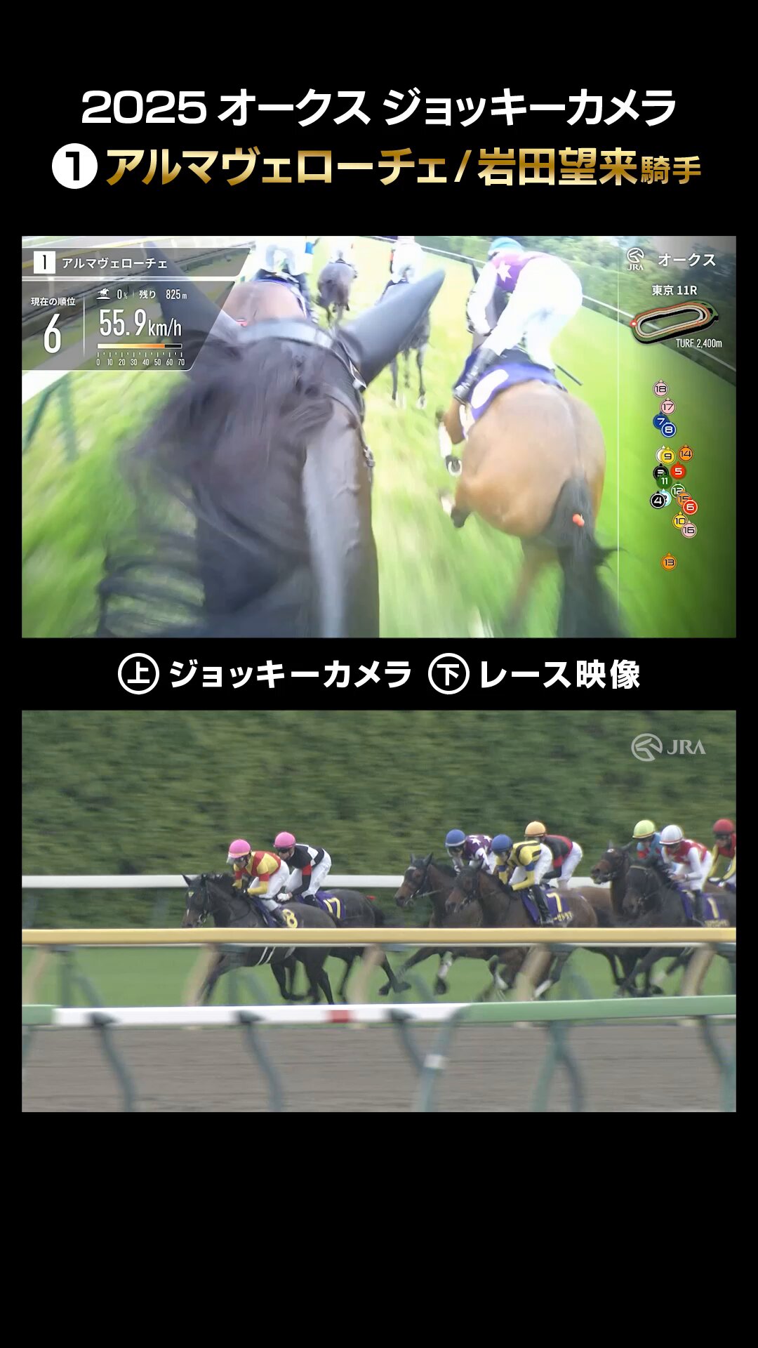 JRA公式 (@JRA_Special) / X
