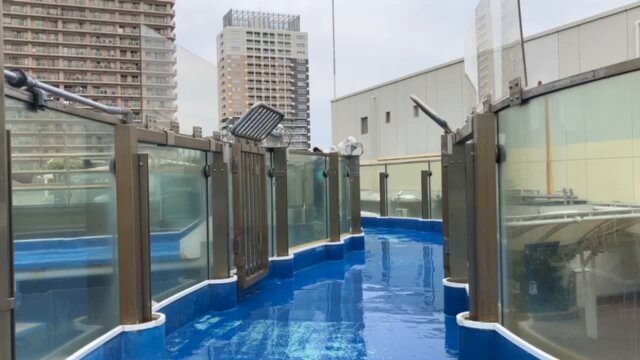 サンシャイン水族館 on X: 